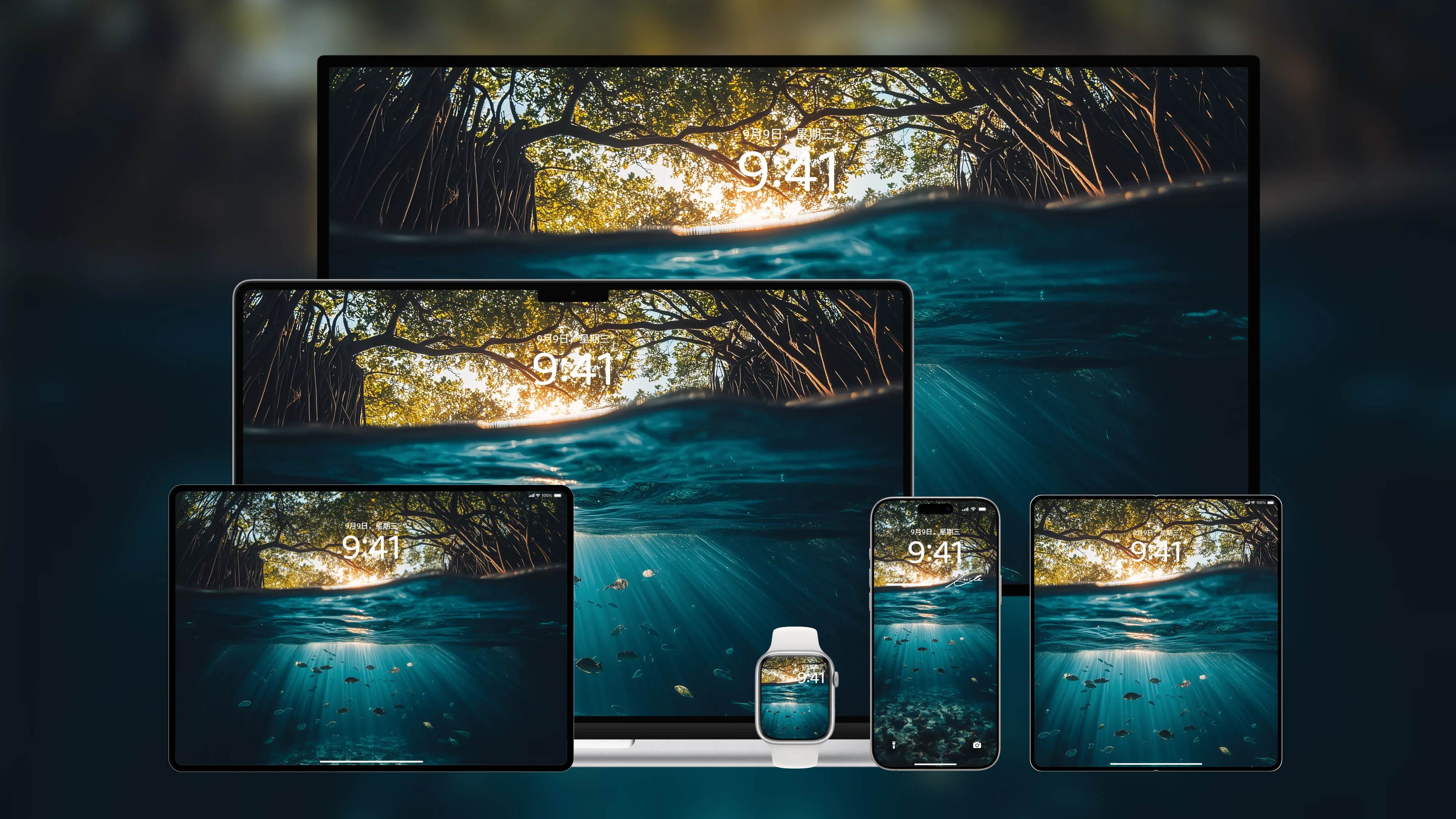 桌面壁纸 电脑屏保 电脑壁纸 护眼壁纸 护眼屏保