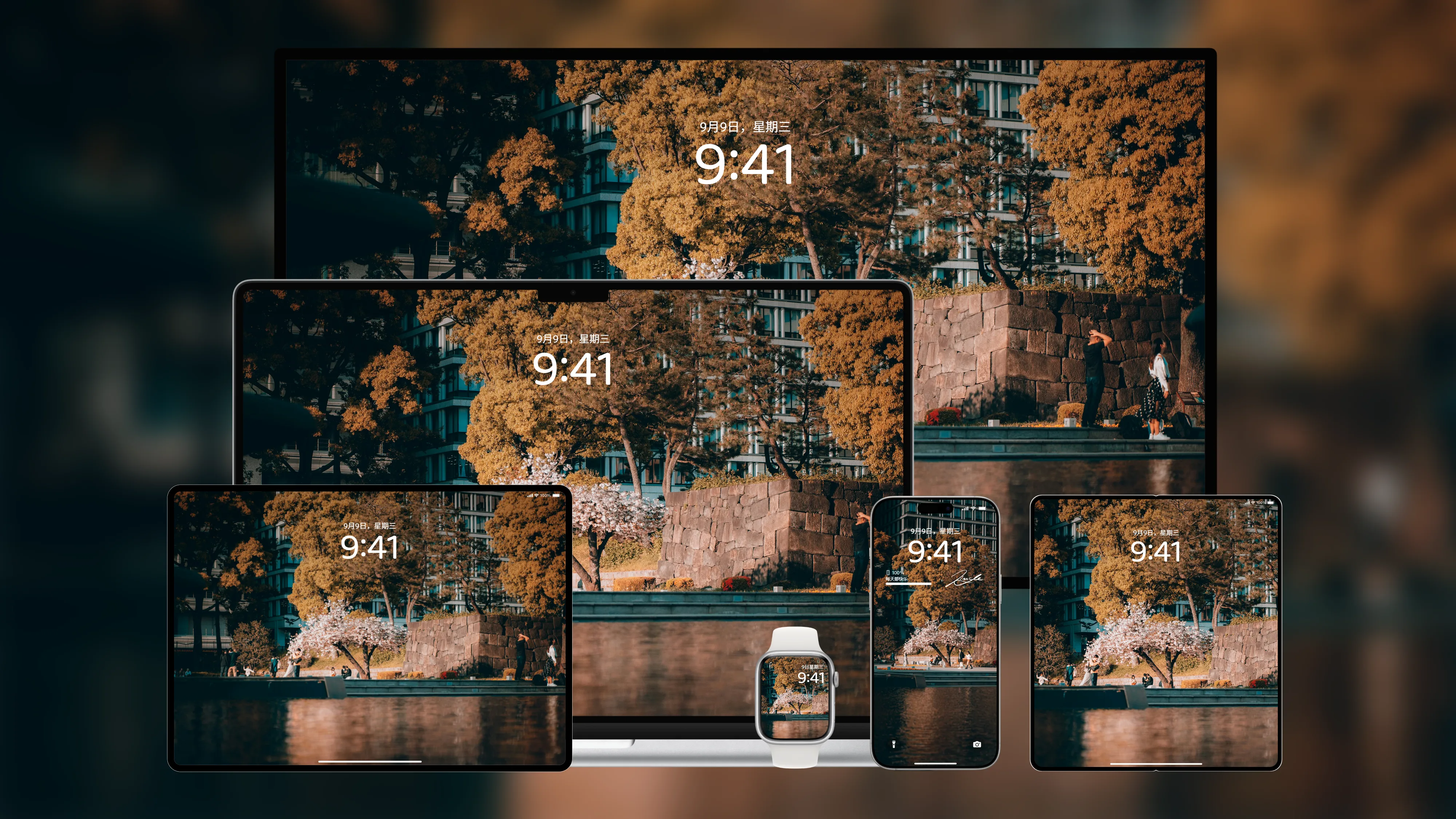 桌面壁纸 电脑屏保 电脑壁纸 护眼壁纸 护眼屏保