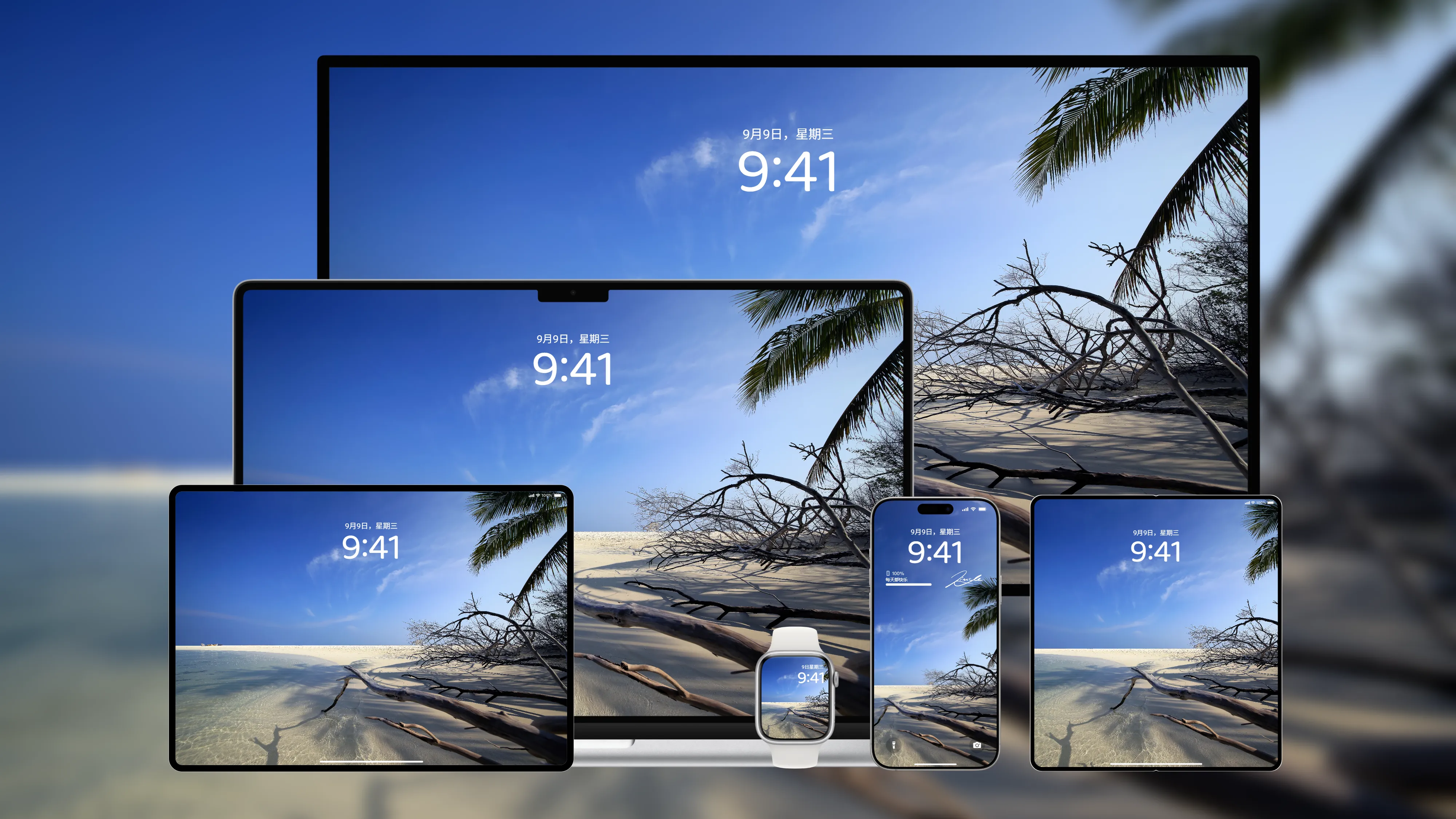 桌面壁纸 电脑屏保 电脑壁纸 护眼壁纸 护眼屏保