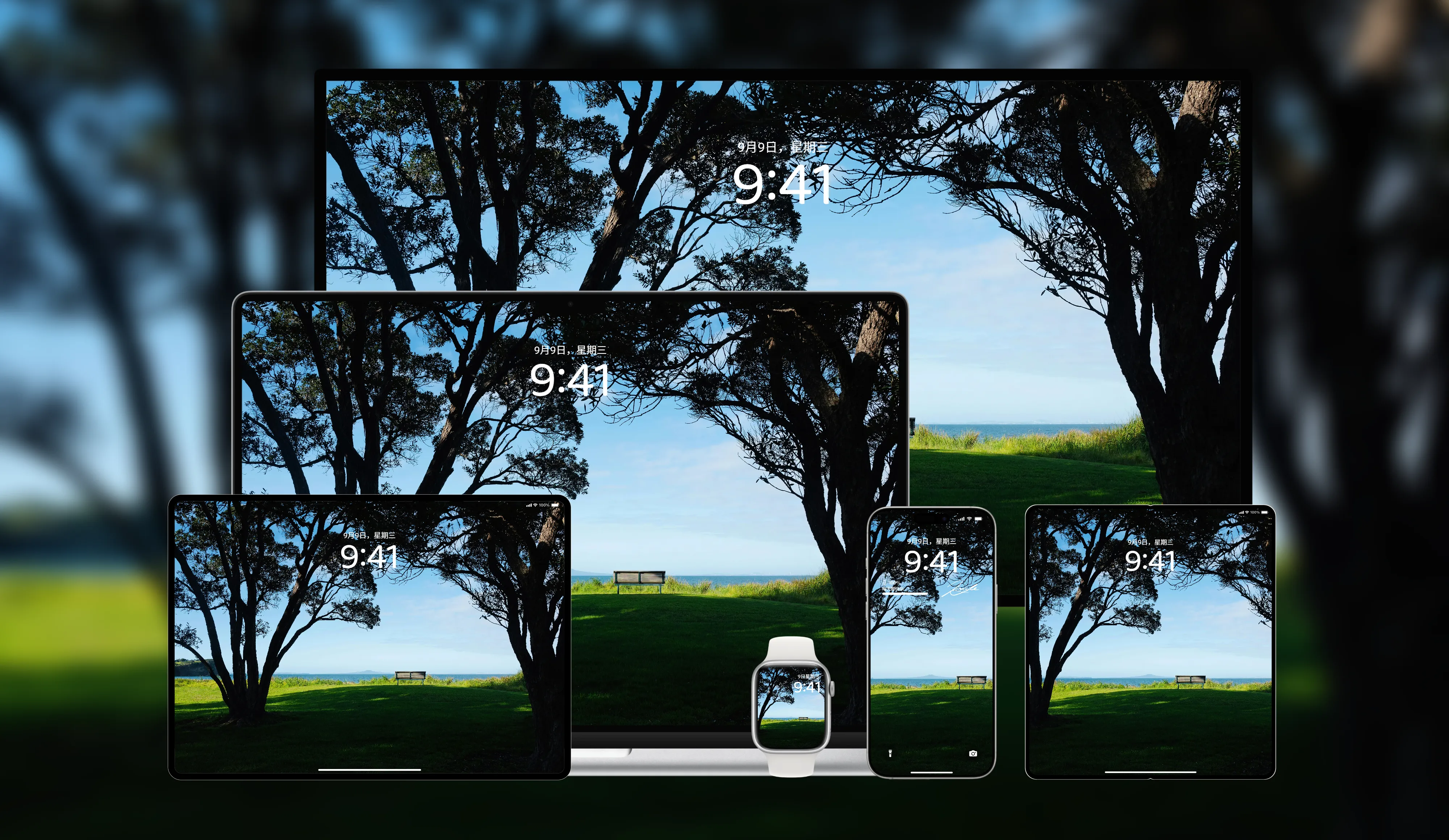 桌面壁纸 电脑屏保 电脑壁纸 护眼壁纸 护眼屏保