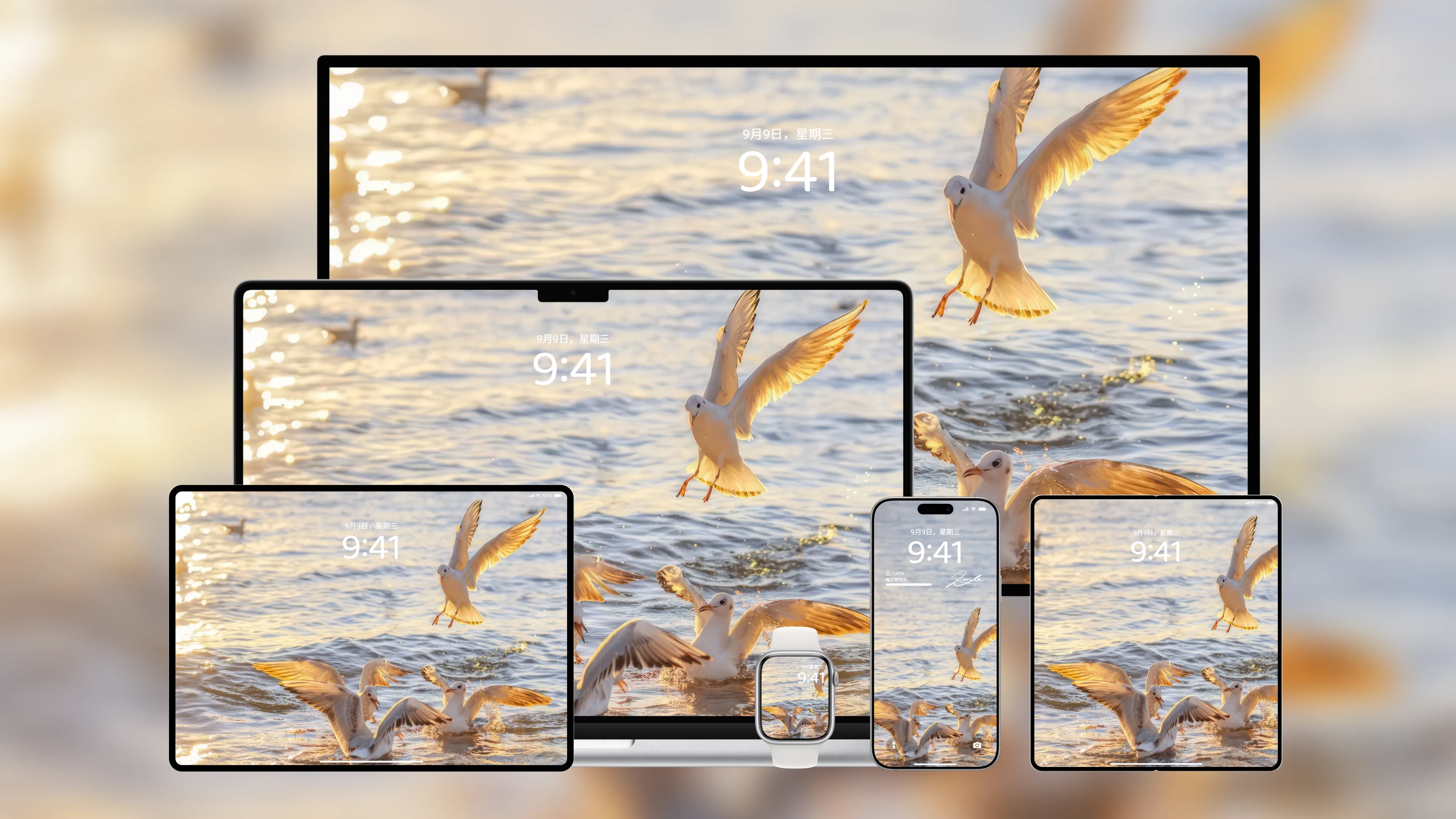 桌面壁纸 电脑屏保 电脑壁纸 护眼壁纸 护眼屏保