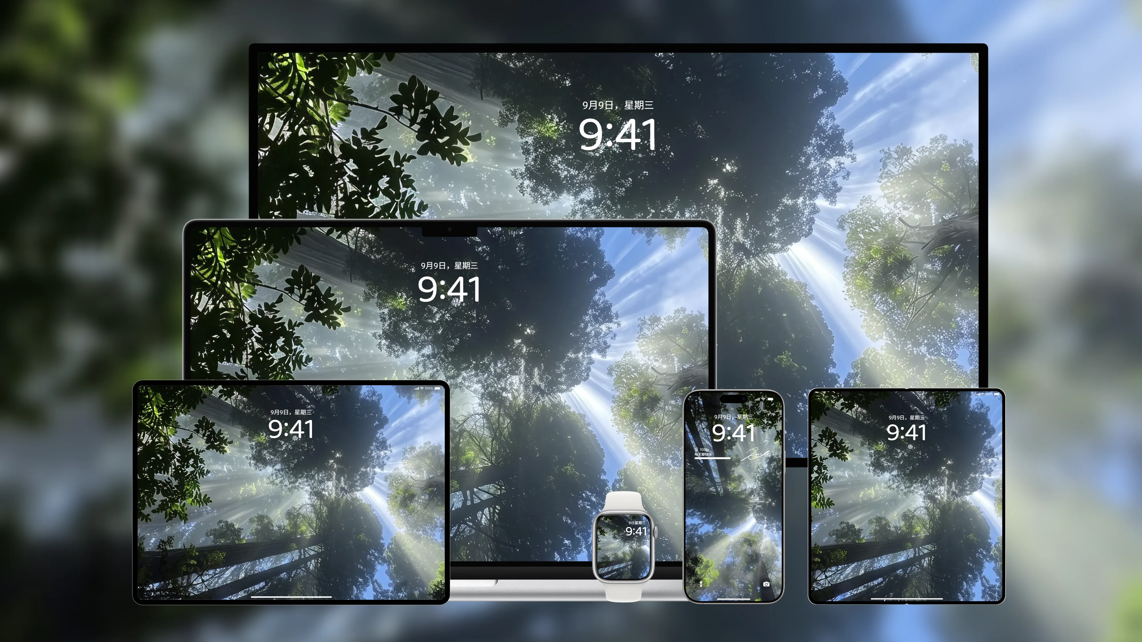 桌面壁纸 电脑屏保 电脑壁纸 护眼壁纸 护眼屏保